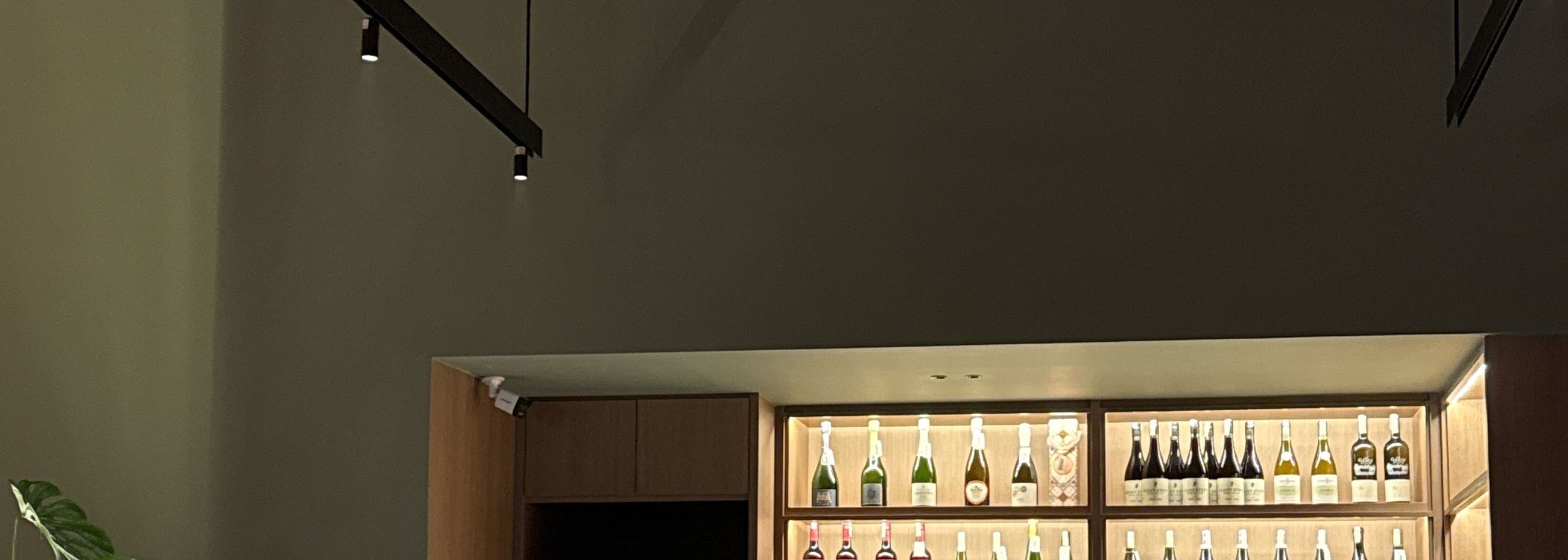 STEKA dining room with terracotta ceiling, olive walls and a backlit wine wall